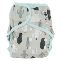 Hypf Überhose One Size Klett Cactus